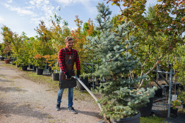 Best Lawn Maintenance Plans  in Waukomis, OK