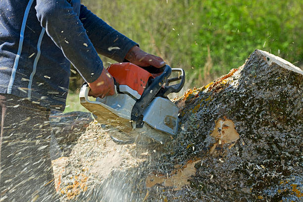Best Lawn Irrigation Installation and Maintenance  in Waukomis, OK